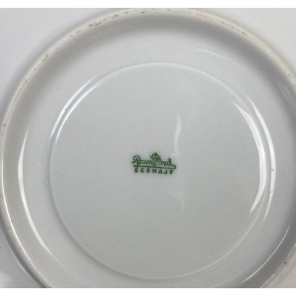 1 Rosenthal Continental Japanese Quince Platinum Demitasse Footed Cup and Saucer - Picture 6 of 6